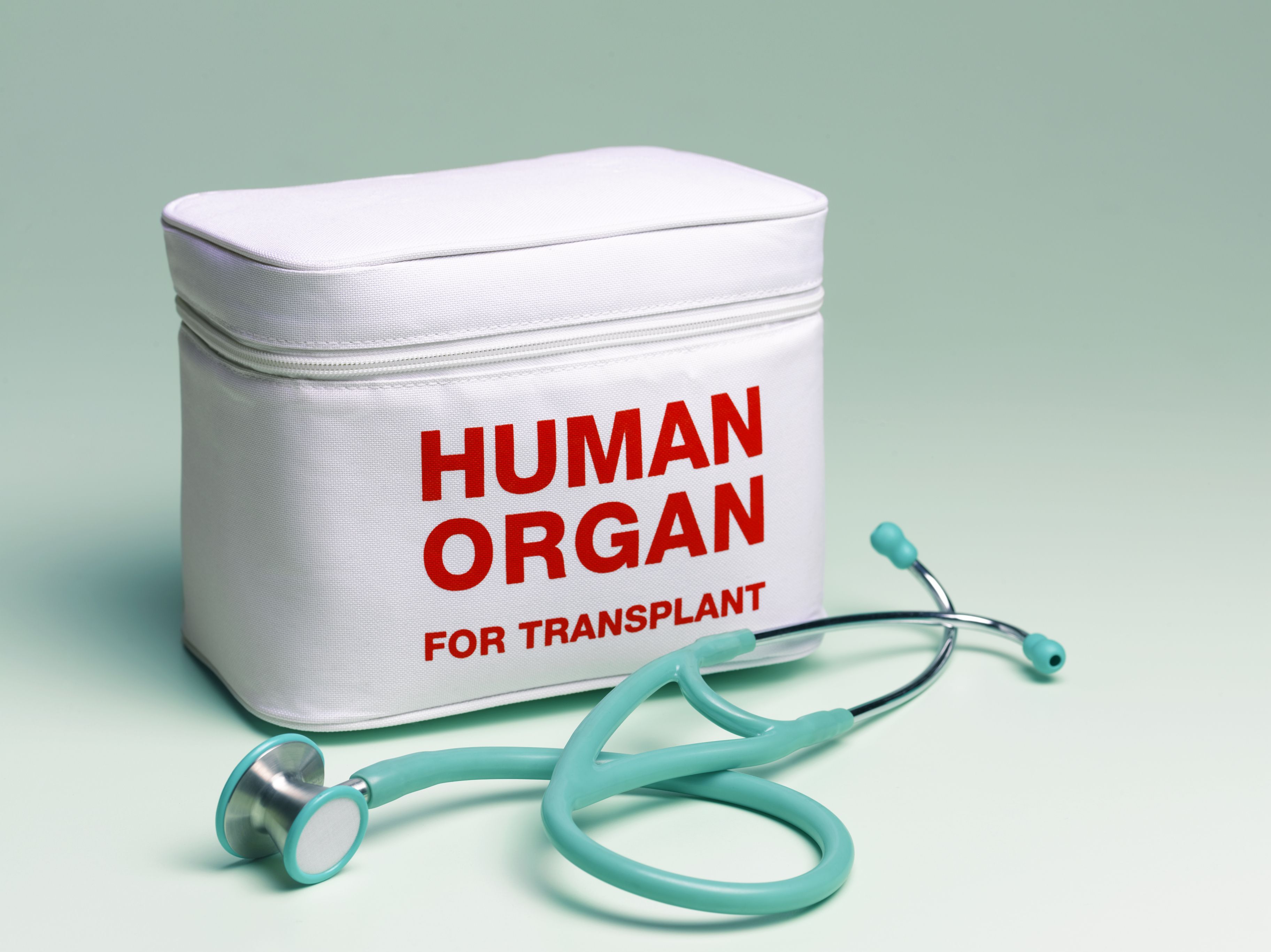 Organ Transplants Free Financial Tribune 